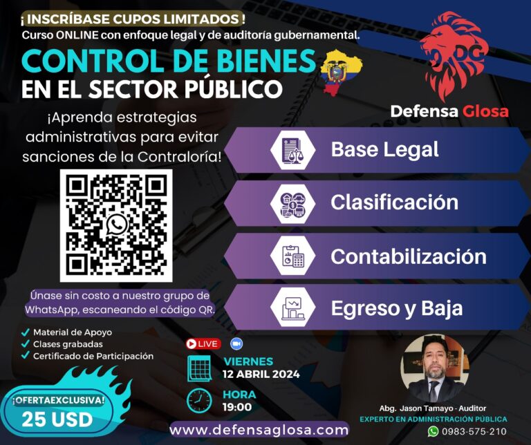 CONTROL DE BIENES EN EL SECTOR PÚBLICO