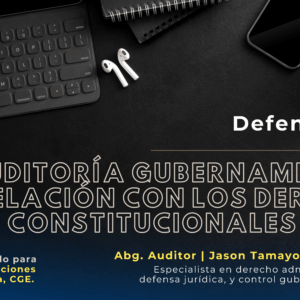 LA AUDITORÍA GUBERNAMENTAL